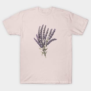 Lavender Plant Branch Elegant T-Shirt